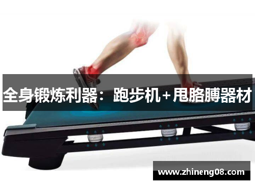 全身锻炼利器：跑步机+甩胳膊器材